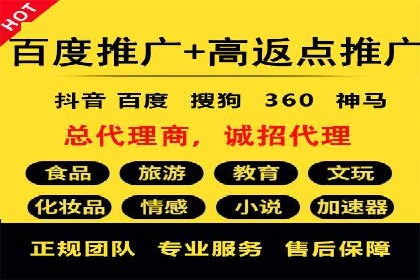 百度平台推广：成功案例解析与效果分析